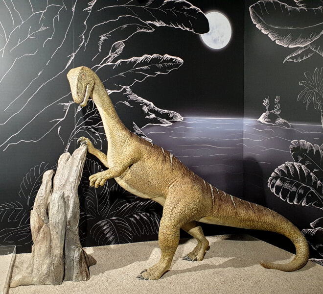 Ardea - projekti (23)