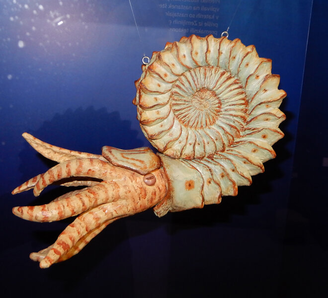 Ardea - projekti (37)