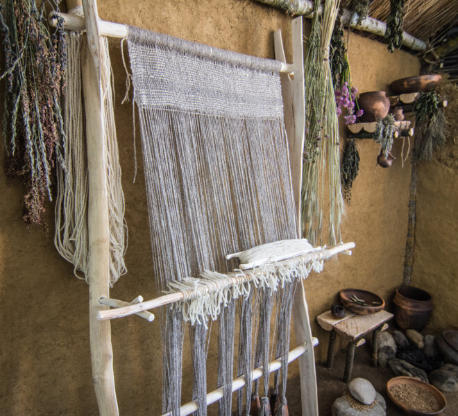 Ardea - projekti (41)