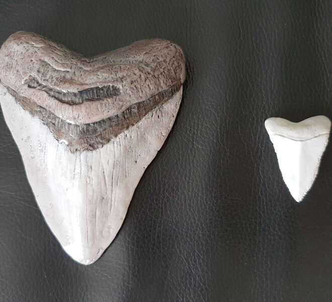 Ardea - projekti (45)